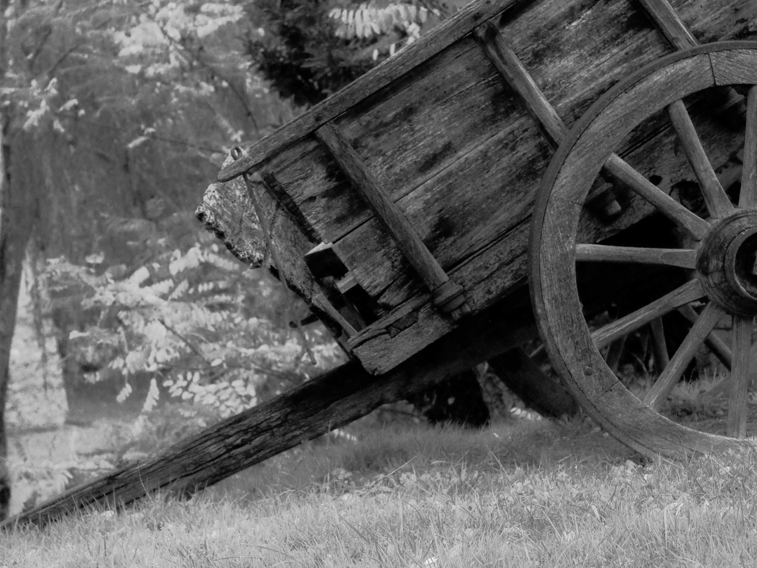 Olympus E-M10 | Minolta Rokkor 50mm